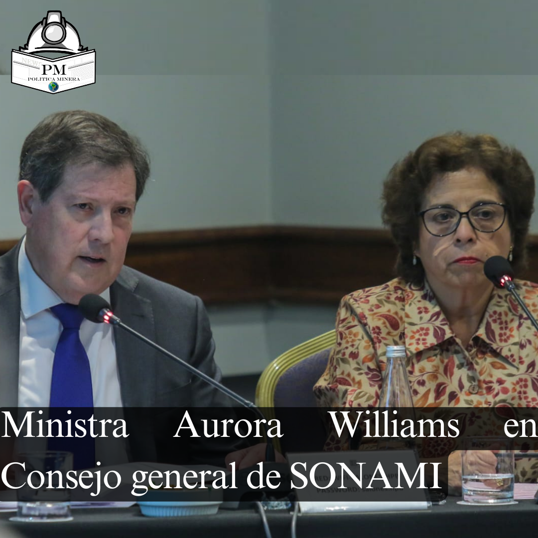 Ministra Aurora Williams en Consejo general de SONAMI