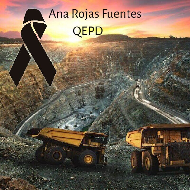 Ana Rojas Fuentes Q.E.P.D.